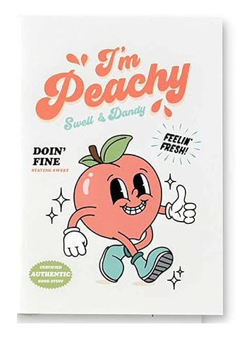Retro Mini Notebooks
